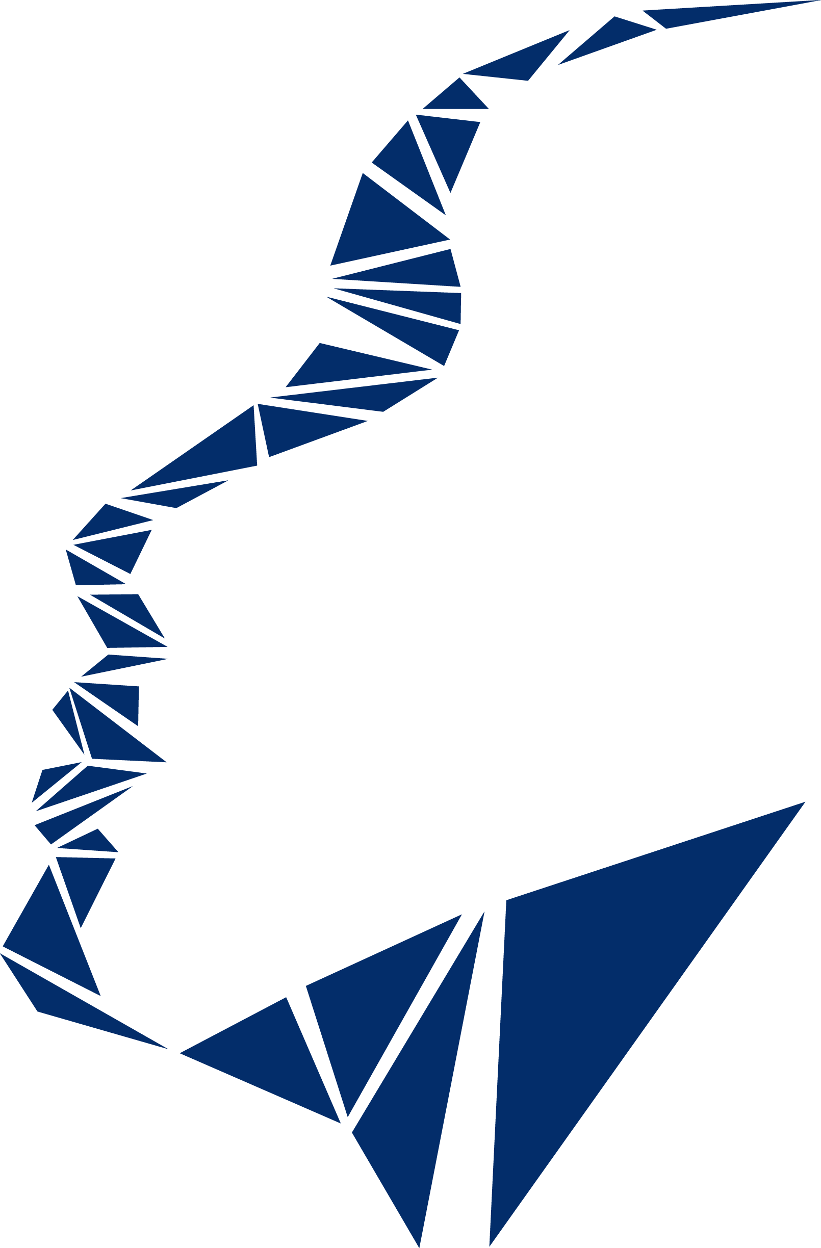 Dr. Fernando Paiva - Logo